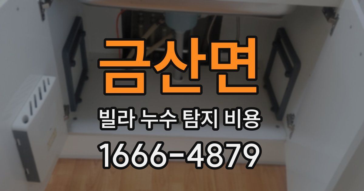 금산면 빌라 누수 탐지 비용