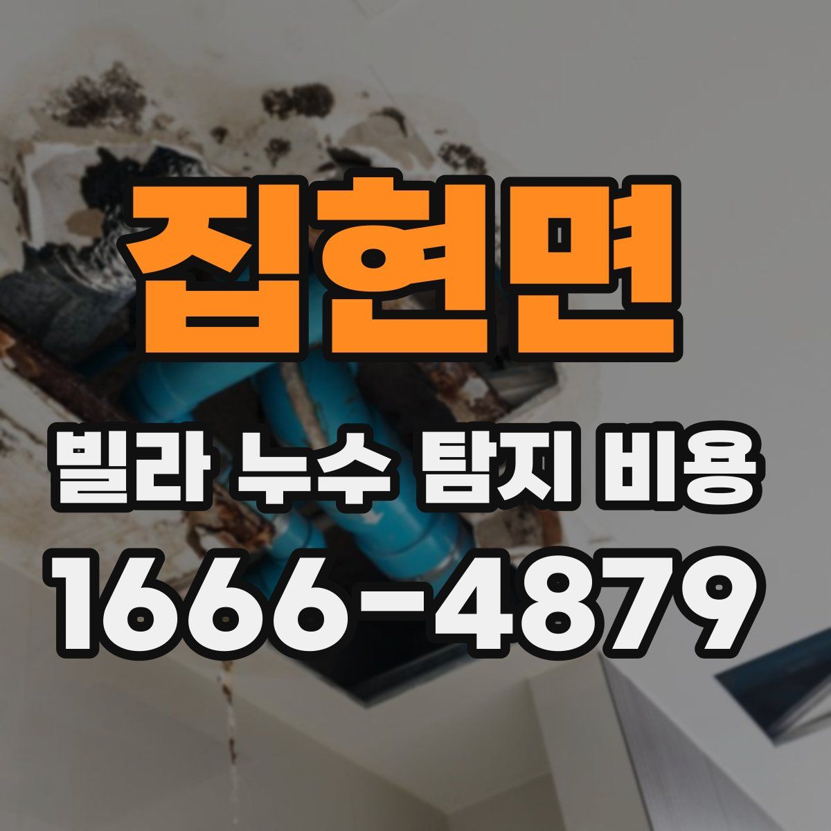 집현면 빌라 누수 탐지 비용
