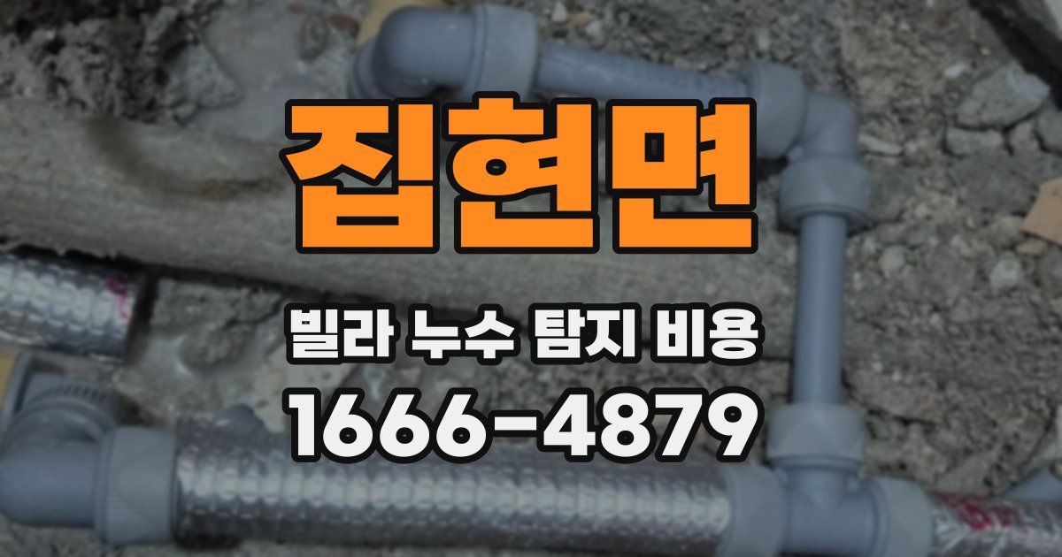 집현면 빌라 누수 탐지 비용