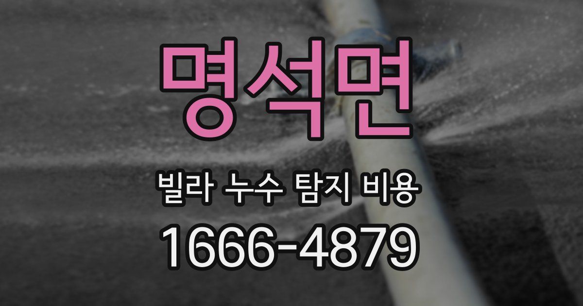명석면 빌라 누수 탐지 비용