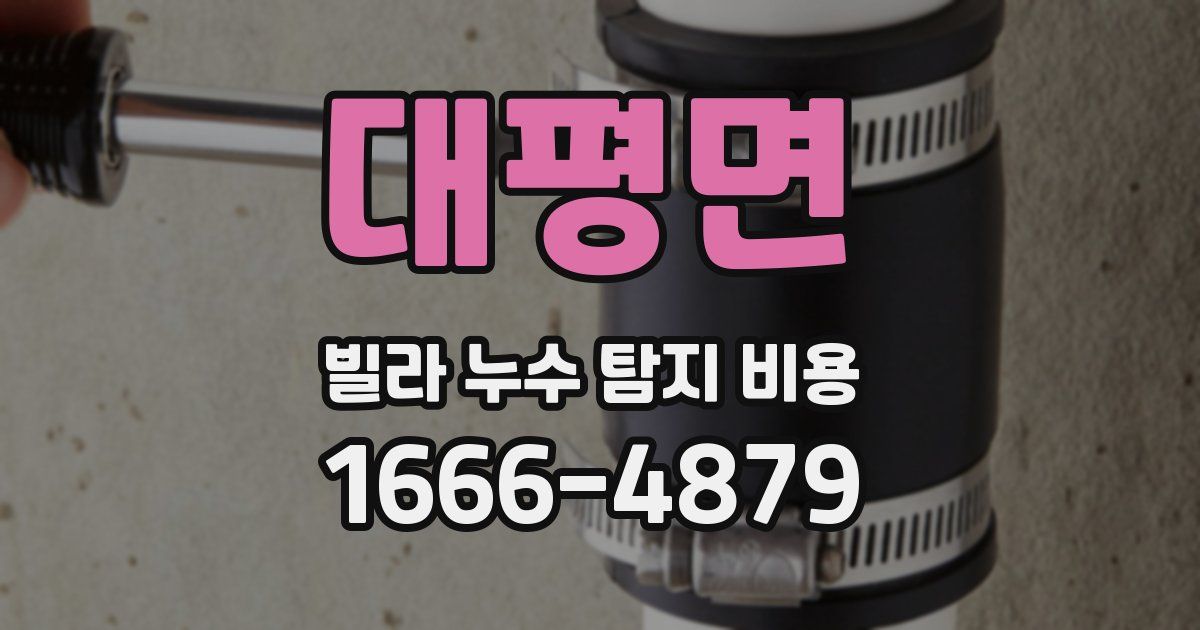 대평면 빌라 누수 탐지 비용