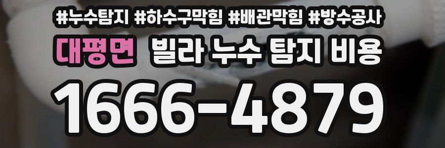 대평면 빌라 누수 탐지 비용