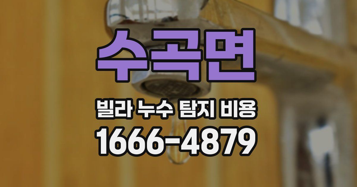 수곡면 빌라 누수 탐지 비용