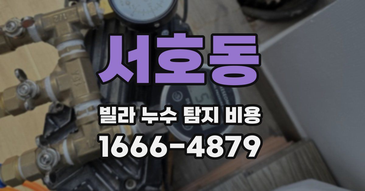 서호동 빌라 누수 탐지 비용