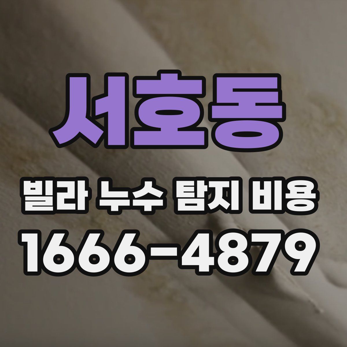 서호동 빌라 누수 탐지 비용
