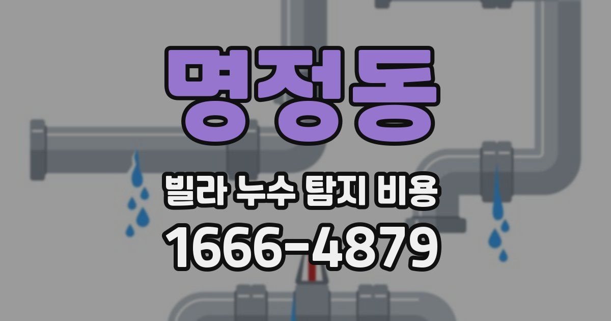 명정동 빌라 누수 탐지 비용