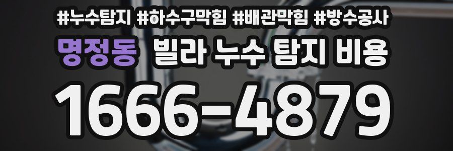 명정동 빌라 누수 탐지 비용