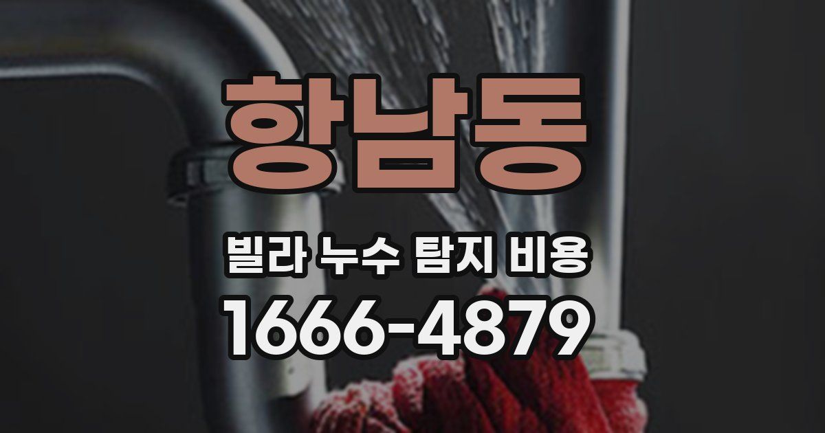 항남동 빌라 누수 탐지 비용
