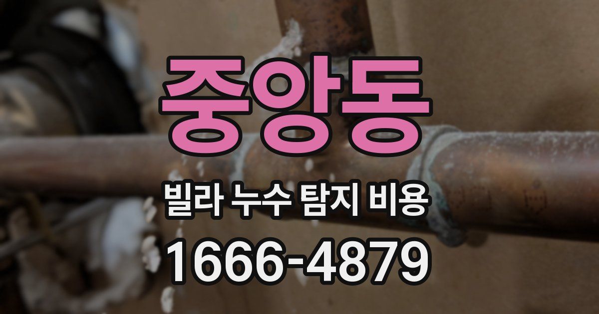 중앙동 빌라 누수 탐지 비용