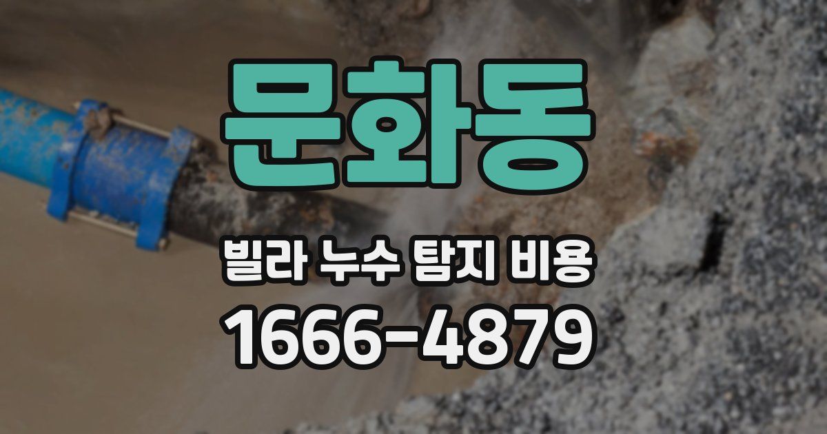문화동 빌라 누수 탐지 비용