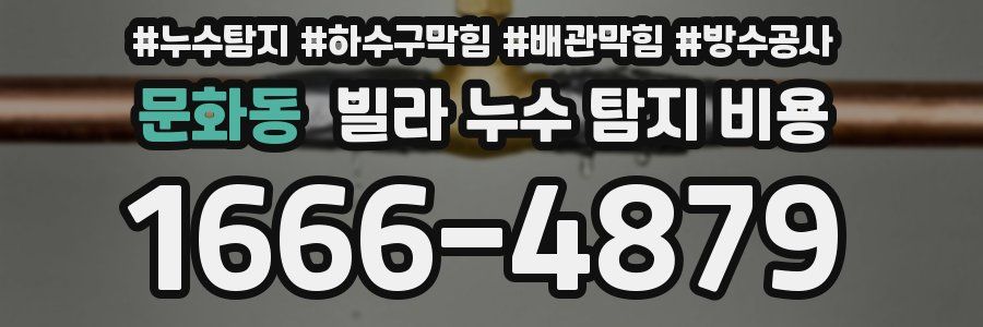 문화동 빌라 누수 탐지 비용