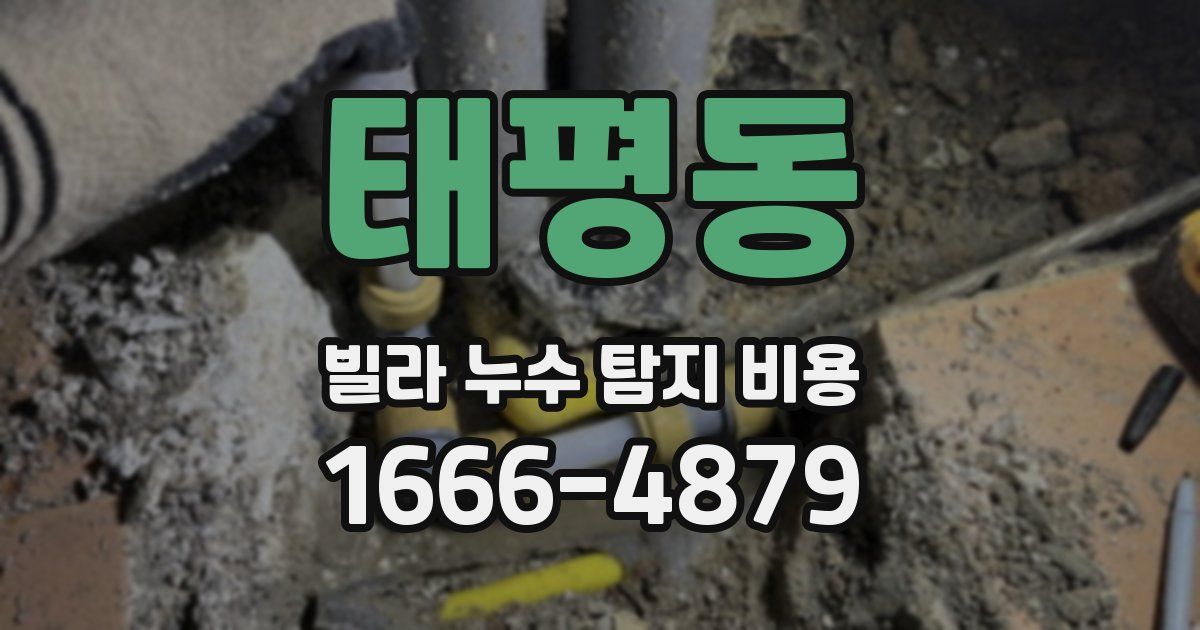 태평동 빌라 누수 탐지 비용