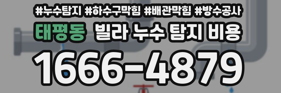 태평동 빌라 누수 탐지 비용