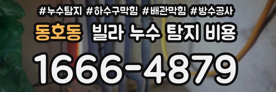 동호동 빌라 누수 탐지 비용