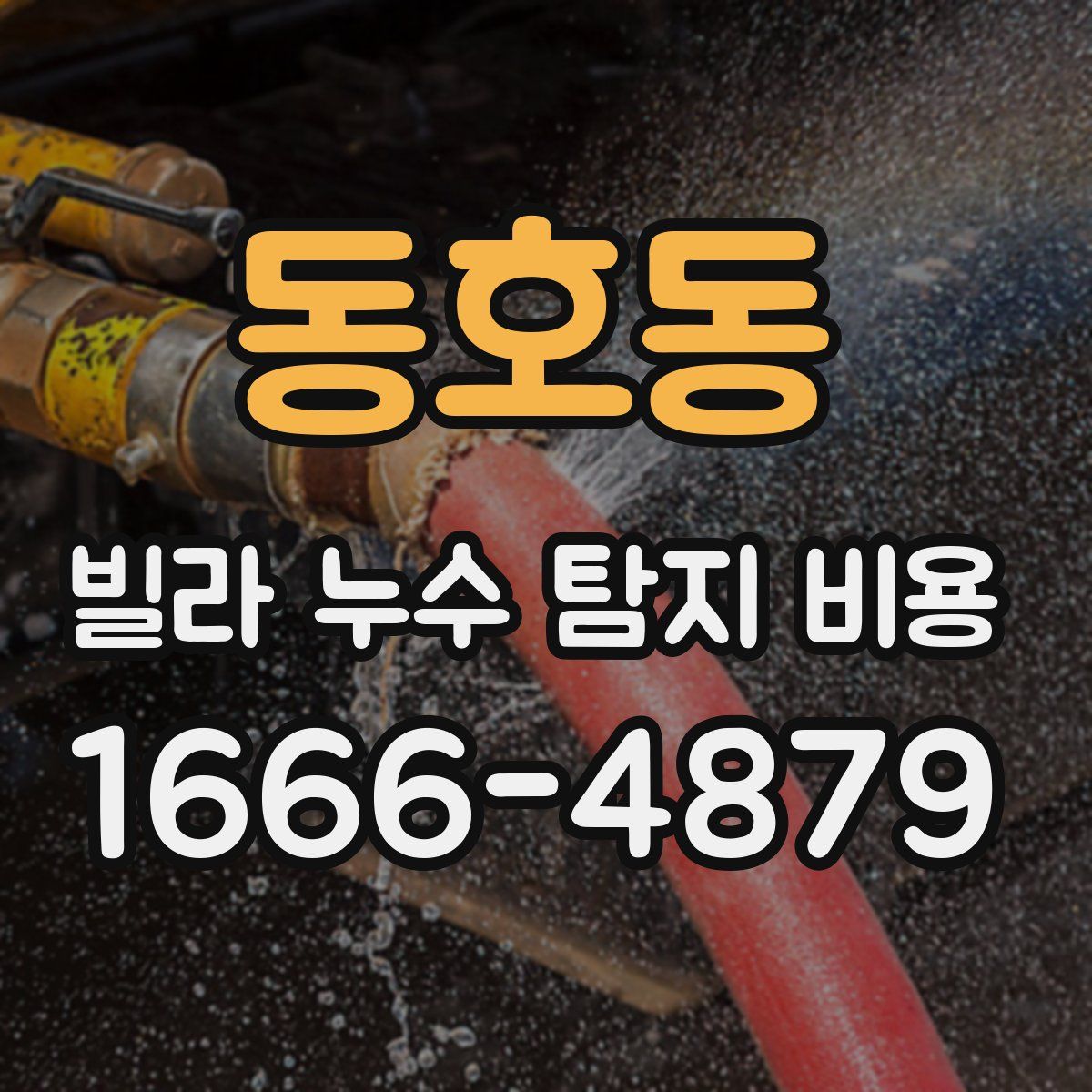 동호동 빌라 누수 탐지 비용