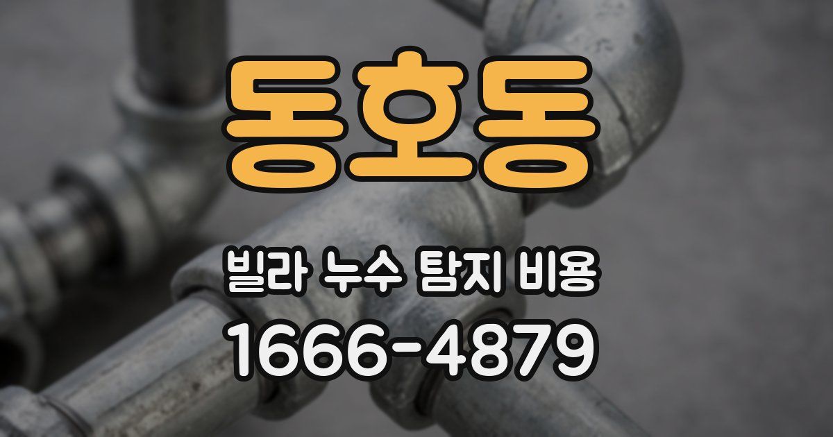 동호동 빌라 누수 탐지 비용