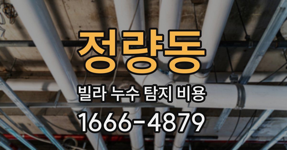 정량동 빌라 누수 탐지 비용