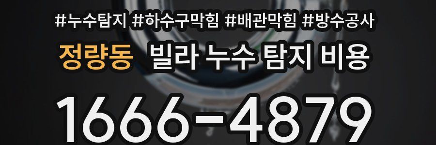 정량동 빌라 누수 탐지 비용