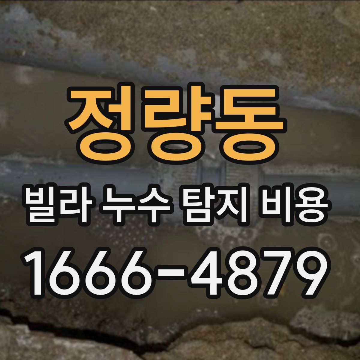 정량동 빌라 누수 탐지 비용