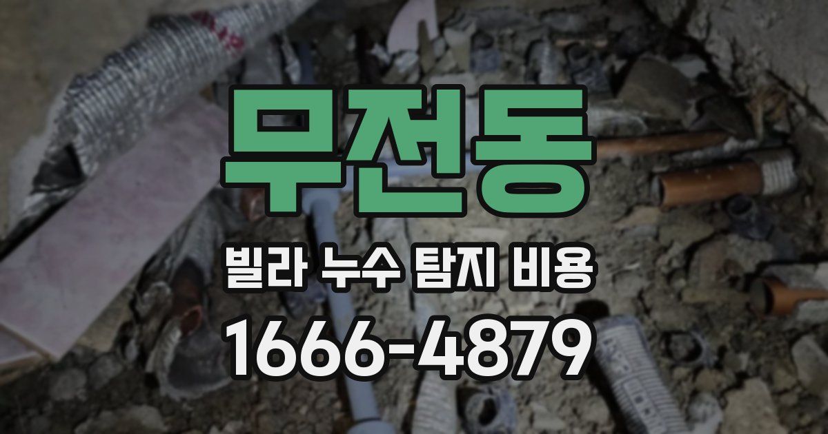 무전동 빌라 누수 탐지 비용