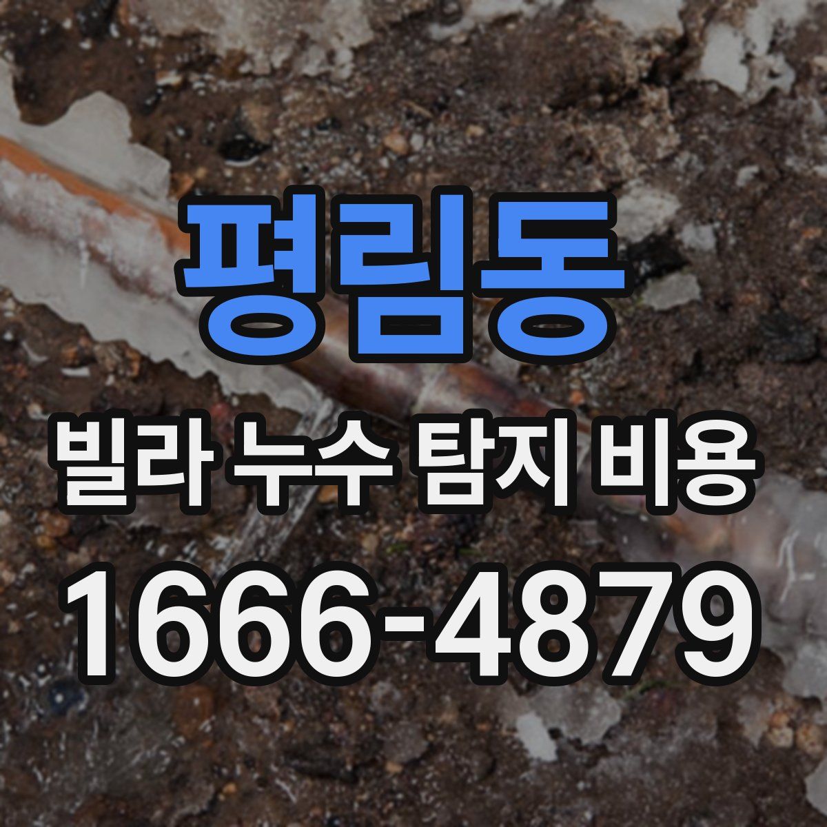 평림동 빌라 누수 탐지 비용