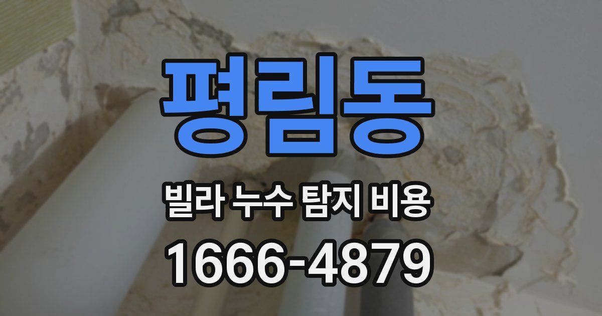 평림동 빌라 누수 탐지 비용