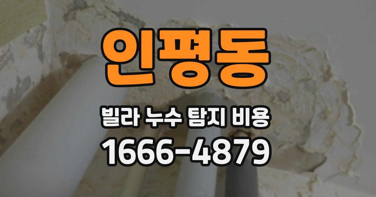 인평동 빌라 누수 탐지 비용