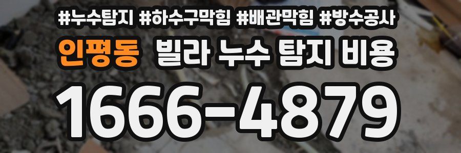 인평동 빌라 누수 탐지 비용