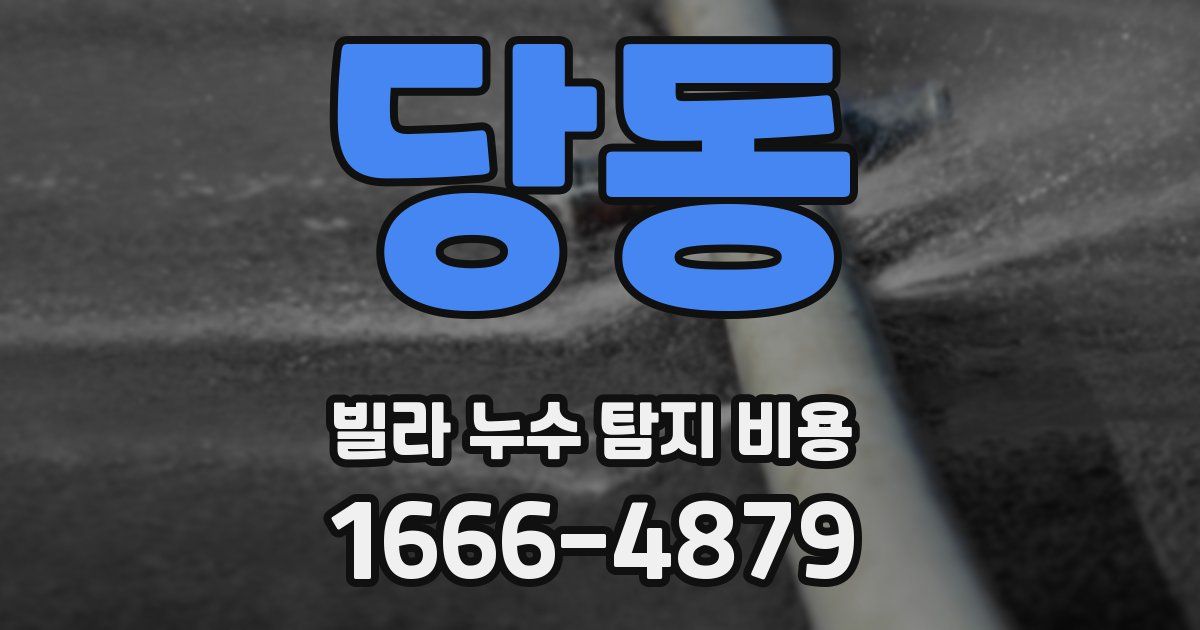 당동 빌라 누수 탐지 비용