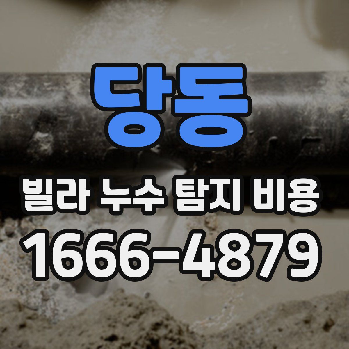 당동 빌라 누수 탐지 비용