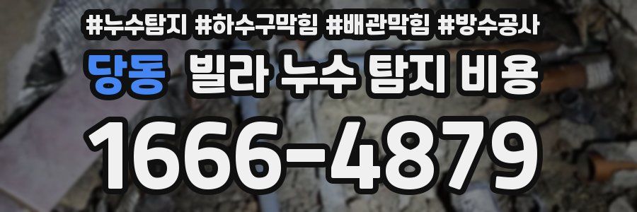 당동 빌라 누수 탐지 비용