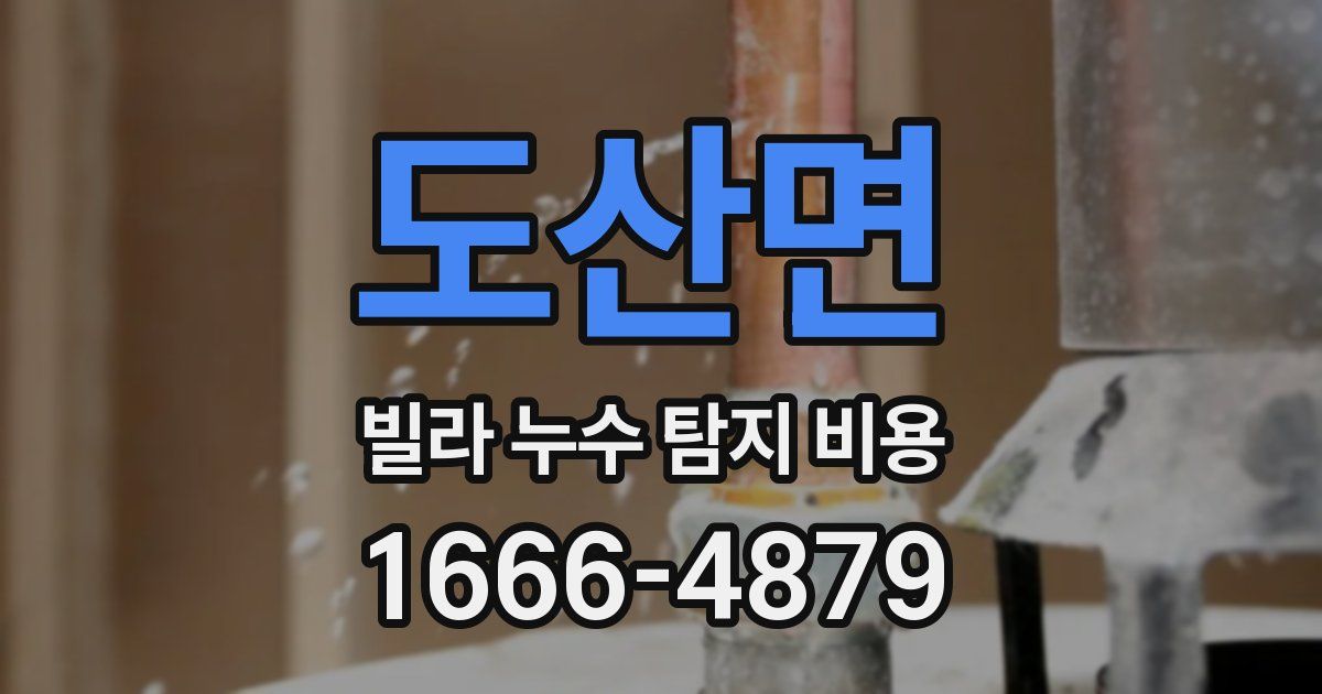 도산면 빌라 누수 탐지 비용