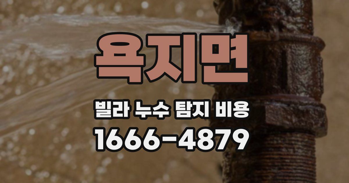 욕지면 빌라 누수 탐지 비용