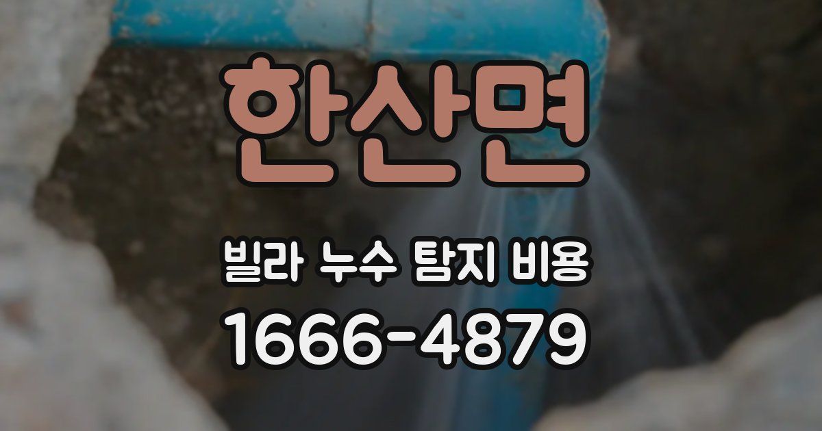 한산면 빌라 누수 탐지 비용
