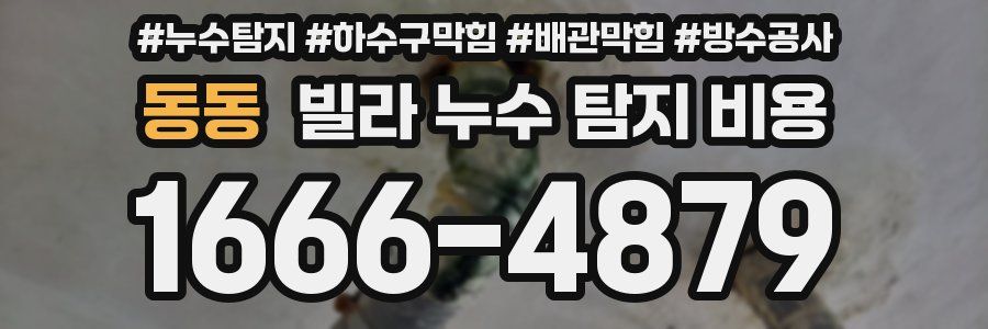 동동 빌라 누수 탐지 비용
