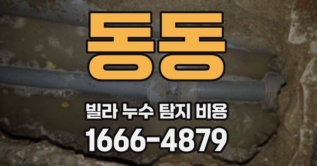 동동 빌라 누수 탐지 비용