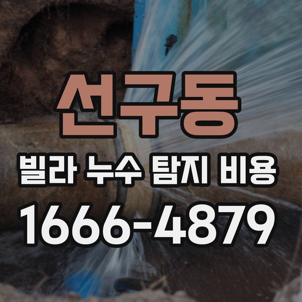 선구동 빌라 누수 탐지 비용
