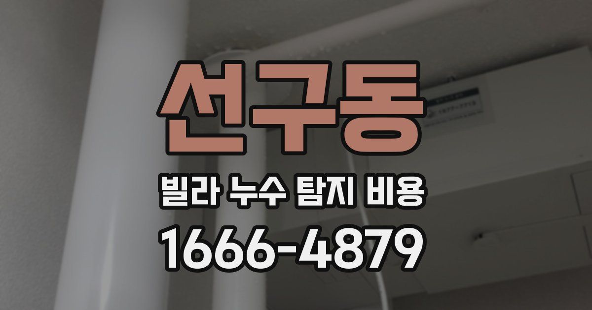 선구동 빌라 누수 탐지 비용