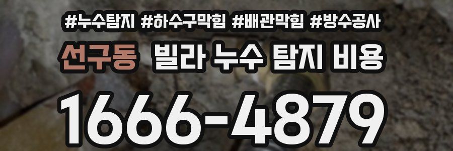 선구동 빌라 누수 탐지 비용