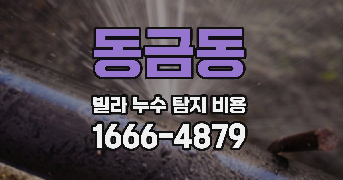 동금동 빌라 누수 탐지 비용