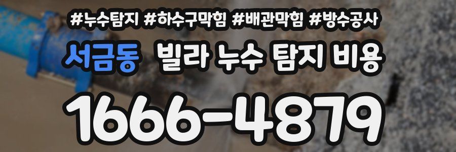 서금동 빌라 누수 탐지 비용