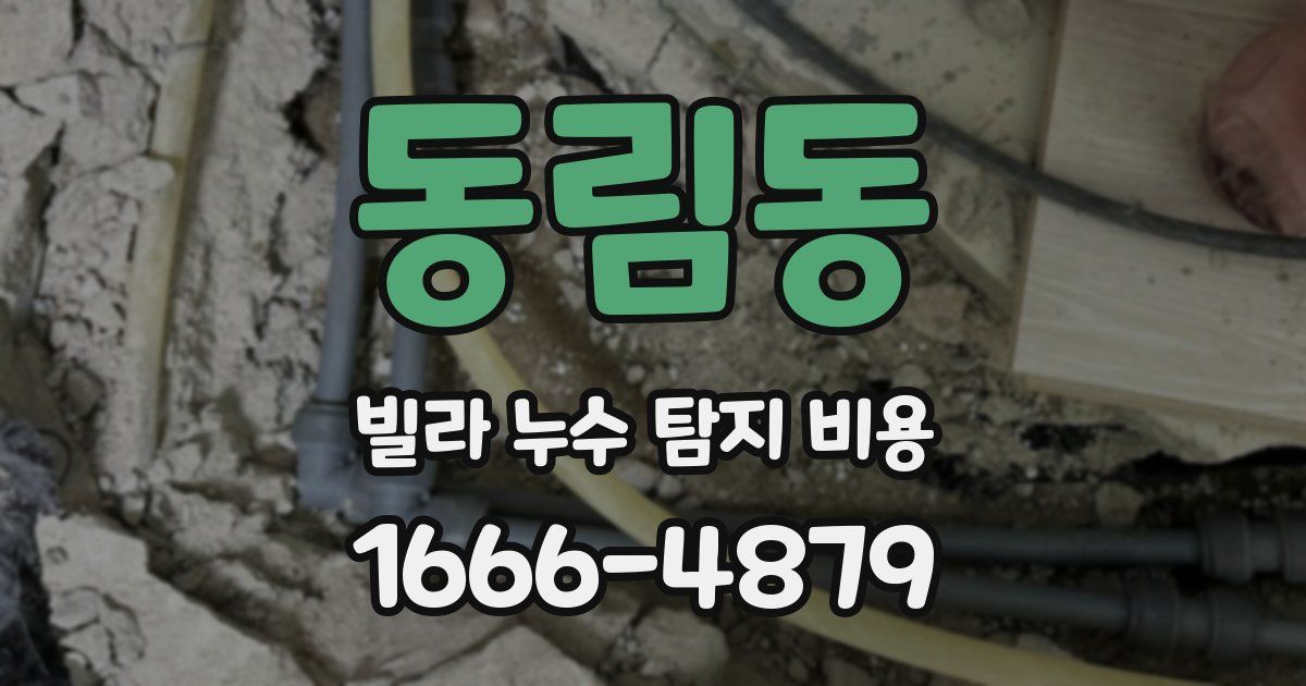 동림동 빌라 누수 탐지 비용