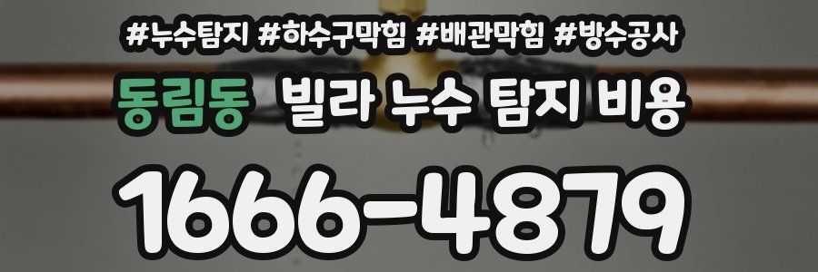 동림동 빌라 누수 탐지 비용