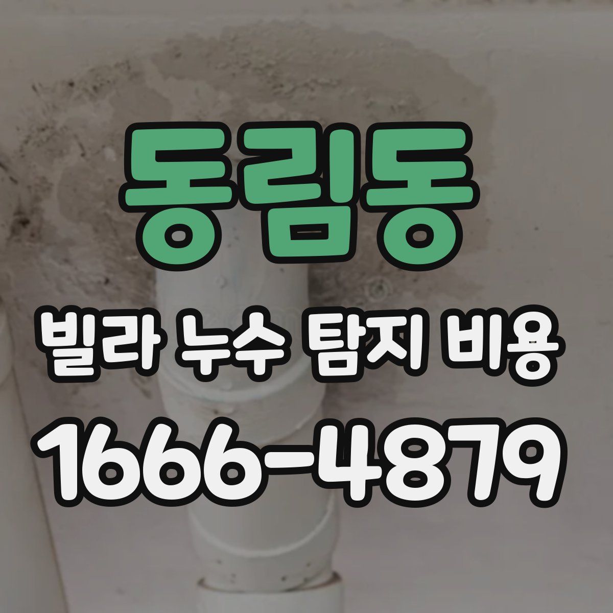 동림동 빌라 누수 탐지 비용