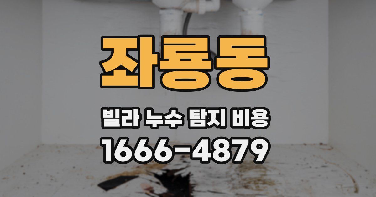 좌룡동 빌라 누수 탐지 비용