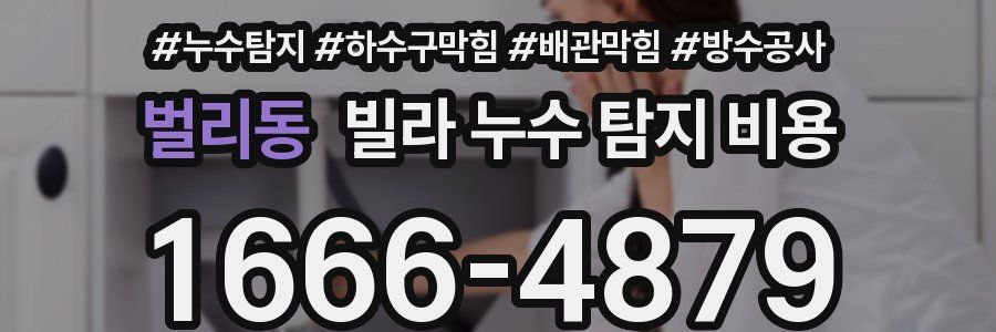 벌리동 빌라 누수 탐지 비용