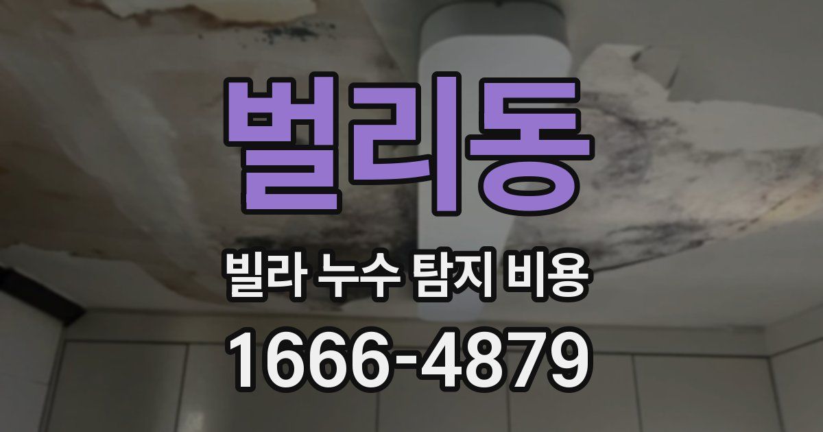 벌리동 빌라 누수 탐지 비용