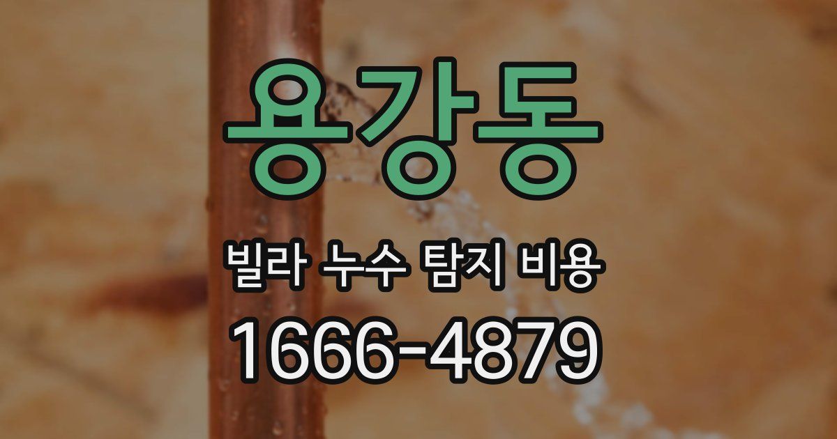용강동 빌라 누수 탐지 비용