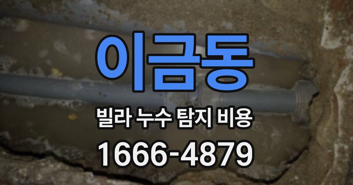이금동 빌라 누수 탐지 비용
