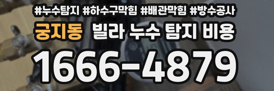 궁지동 빌라 누수 탐지 비용